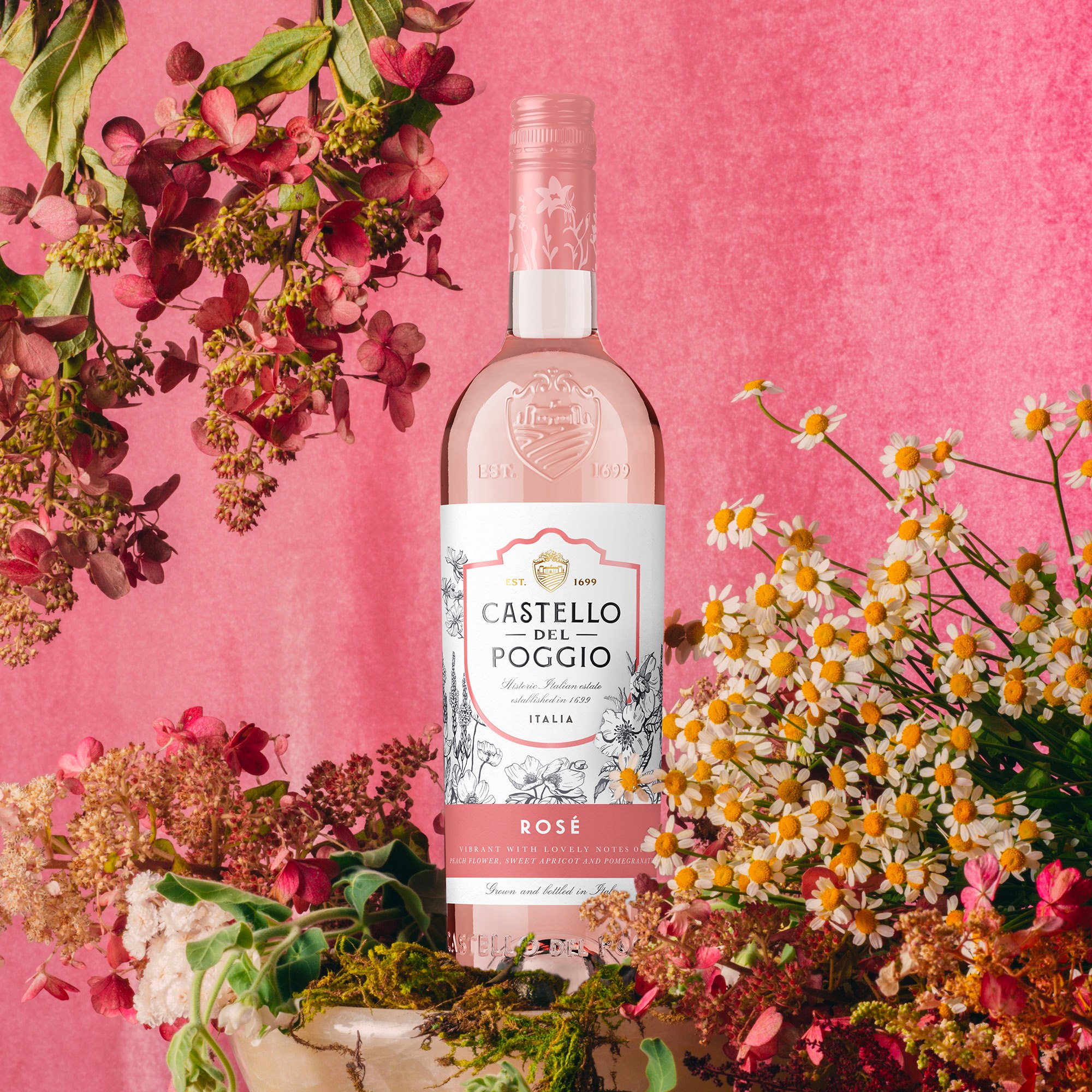 粉紅酒,沒那麼簡單!|你不知道的Rosé歷史與喝法