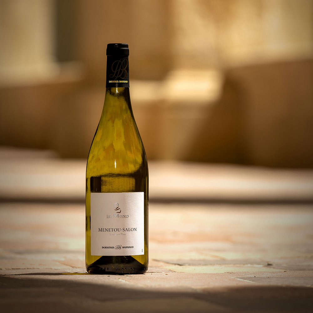 Sauvignon Blanc白蘇維濃 | 兩杯就喝懂舊世界 vs 新世界
